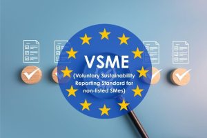 Découvrez en quoi consiste la norme VSME sur le reporting durable pour les PME