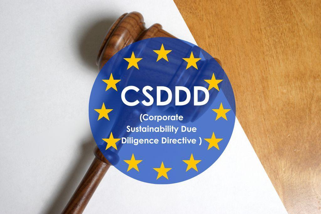 CS3D : Tout savoir sur la Corporate Sustainability Due Diligence Directive (CSDDD)