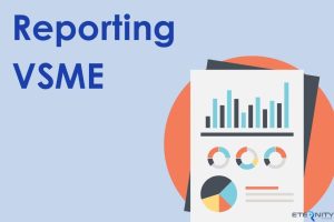 La norme VSME a été élaborée par l’EFRAG pour les PME