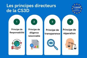 La Corporate Sustainability Due Diligence Directive repose sur quatre principes de responsabilité