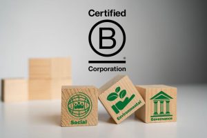 Erfahren Sie, was das B Corp-Label ist und wie der Zertifizierungsprozess funktioniert.