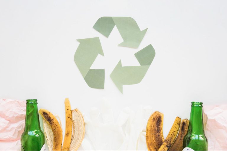 Solutions d’emballage circulaire : quelles options pour les entreprises ?